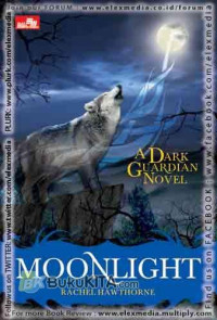 Image of A Dark Guardian Novel