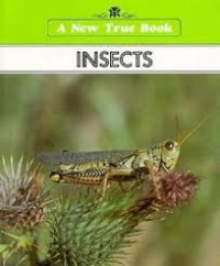 Image of Insects : A New True Book