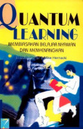 Quantum learning